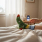 Mellow Monkey green crew socks with daisy patterns and text reading Screw This I'm Going Back To Bed on a person in bed