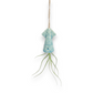 Mellow Monkey hanging ceramic squid planters in blue, green, and pink with live Tillandsia air plants on twine