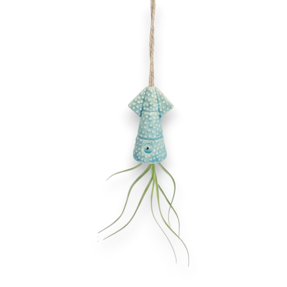 Mellow Monkey hanging ceramic squid planters in blue, green, and pink with live Tillandsia air plants on twine