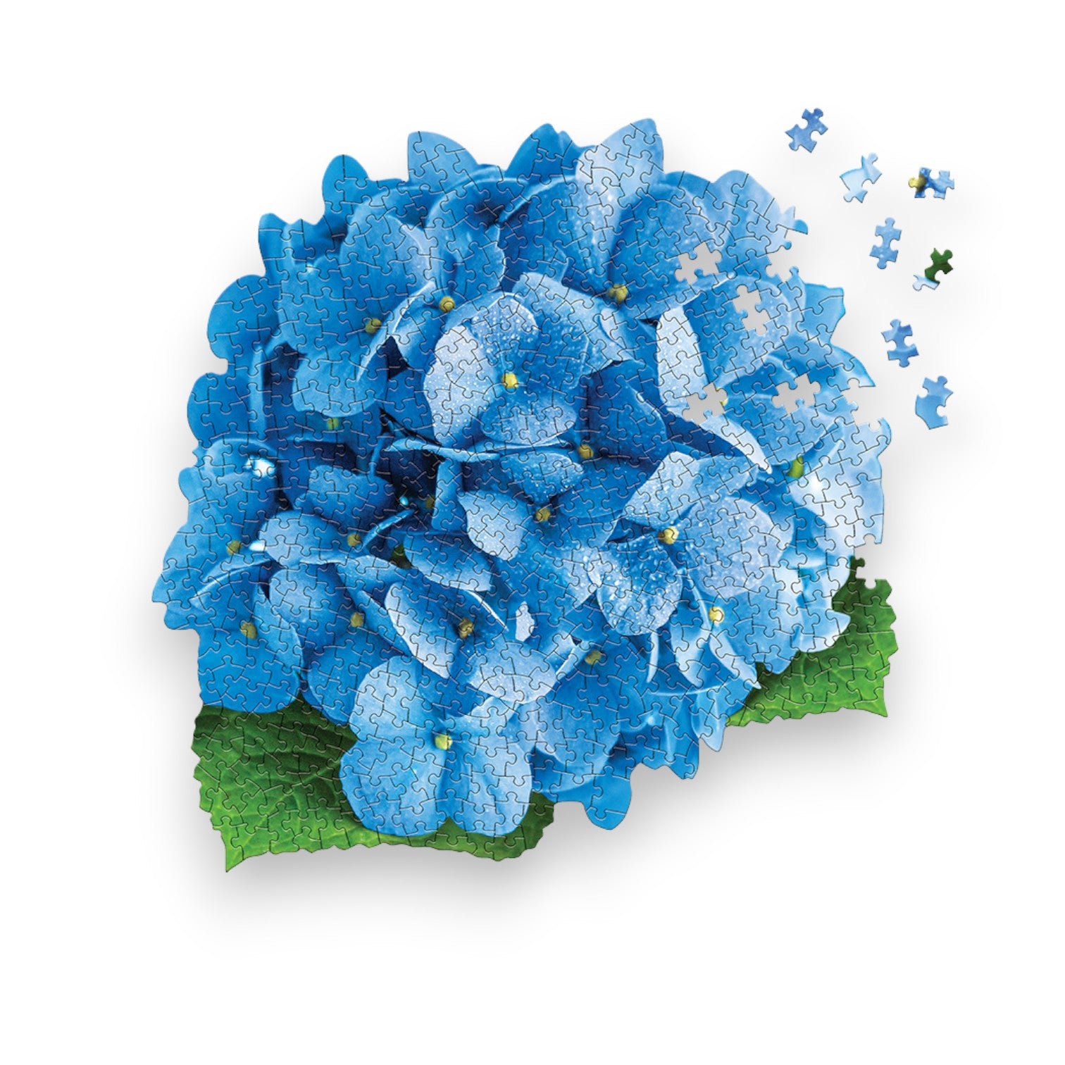 I Am Hydrangea - Floral Hydrangea Jigsaw Puzzle 350-Pc – Mellow Monkey
