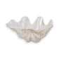 Mellow Monkey ivory and tan resin decorative bowl with a coastal shell-inspired sculpted wave design.