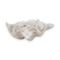 Mellow Monkey ivory resin shell bowl with a pearlized finish and wavy coastal design filled with white flowers.