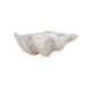 Mellow Monkey ivory and tan pearlized resin decorative bowl in a sculpted coastal shell shape.