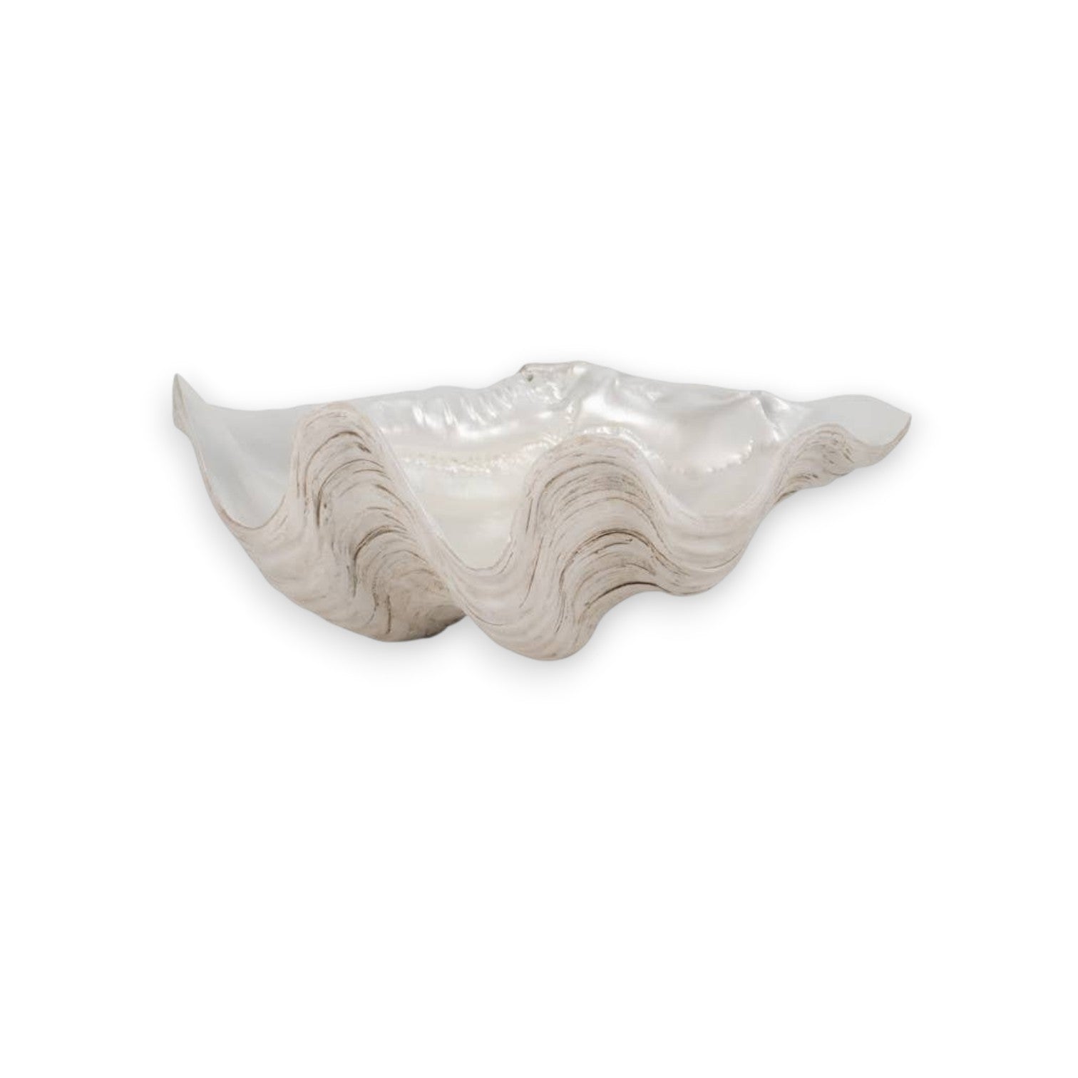 Mellow Monkey ivory and tan pearlized resin decorative bowl in a sculpted coastal shell shape.