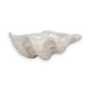 Mellow Monkey ivory and tan resin decorative bowl with a coastal shell-inspired wave design for home decor