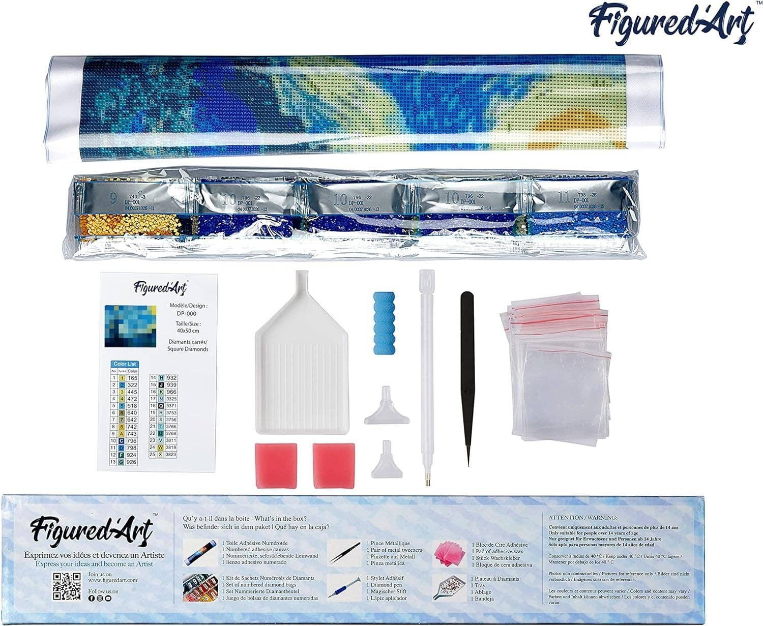 Mellow Monkey Jesus Radiant Glory diamond painting kit, 16"x20", full drill, includes tools and colored diamonds.