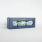 Mellow Monkey Kim Hovell shell trio decoupage ornament set in a blue gift box with Atlantic Reef and Gulf Cluster art