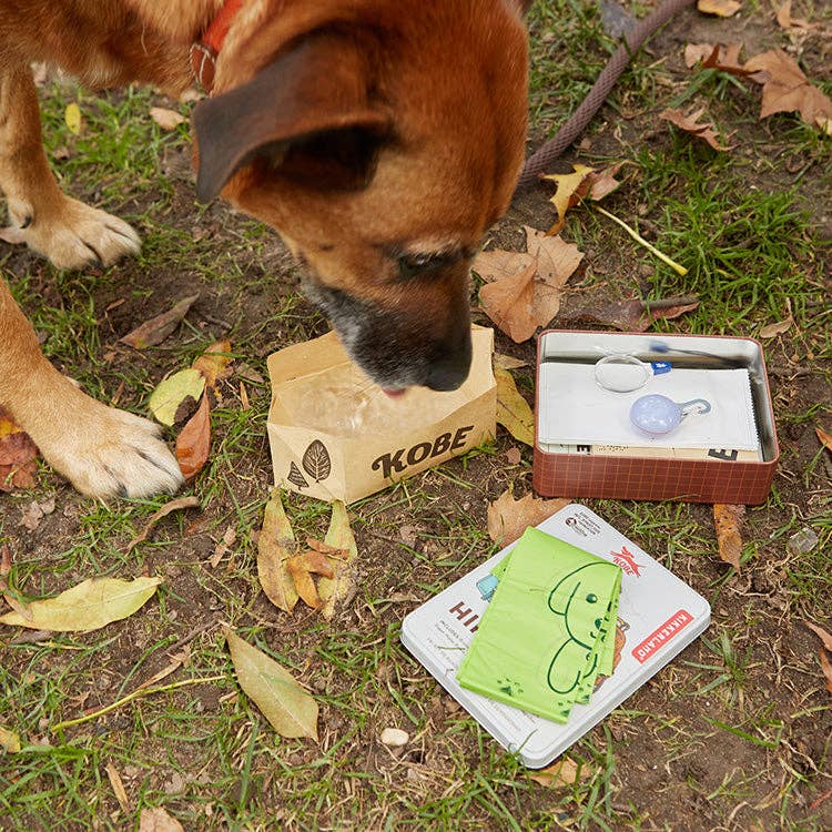 Mellow Monkey Kobe Dog Hiking Kit with paper water bowl, LED light, and accessories on a grassy trail with a dog.