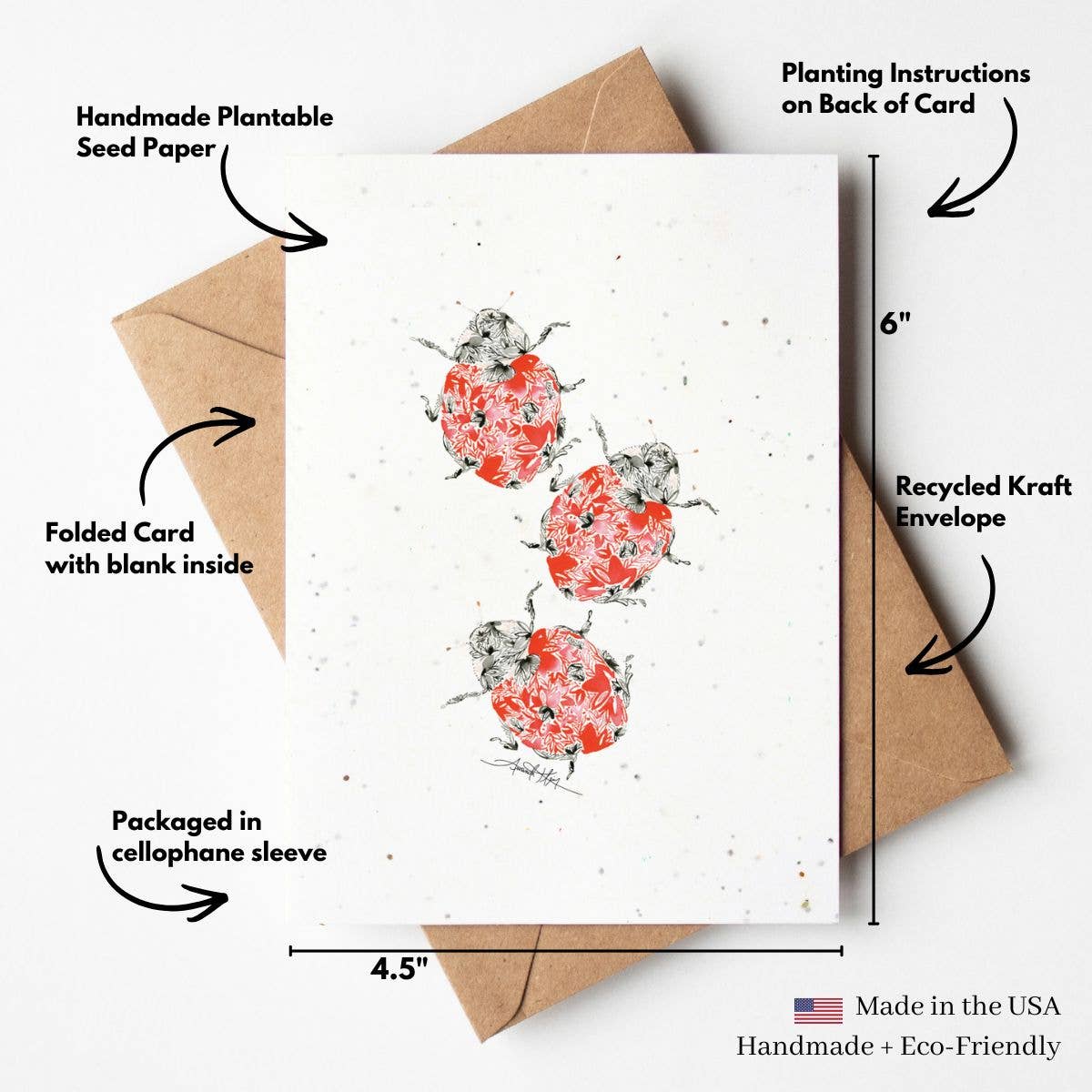 Mellow Monkey plantable greeting card featuring ladybug artwork on handmade seed paper with a recycled kraft envelope.