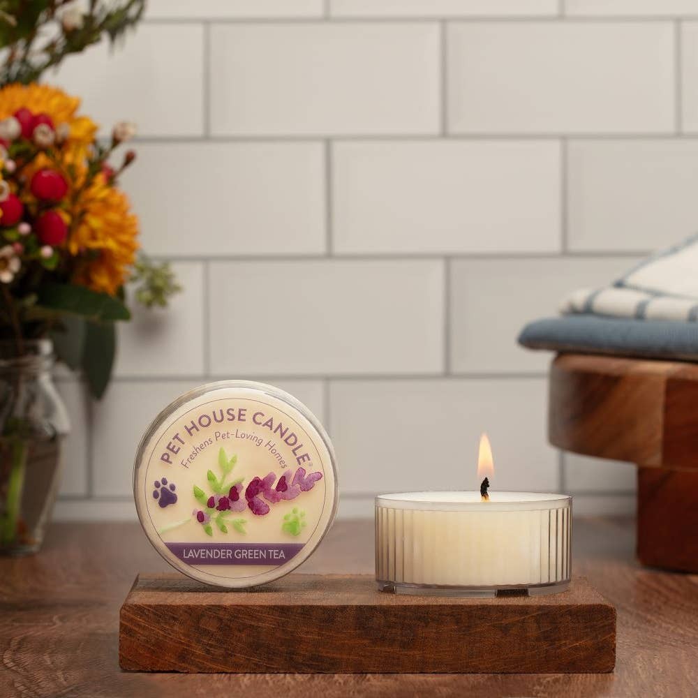 Mellow Monkey Pet House lavender green tea mini candle with odor-neutralizing wax in a clear ribbed glass container