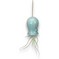 Mellow Monkey light blue hanging ceramic air plant buddy with a live Tillandsia plant and textured glaze finish.