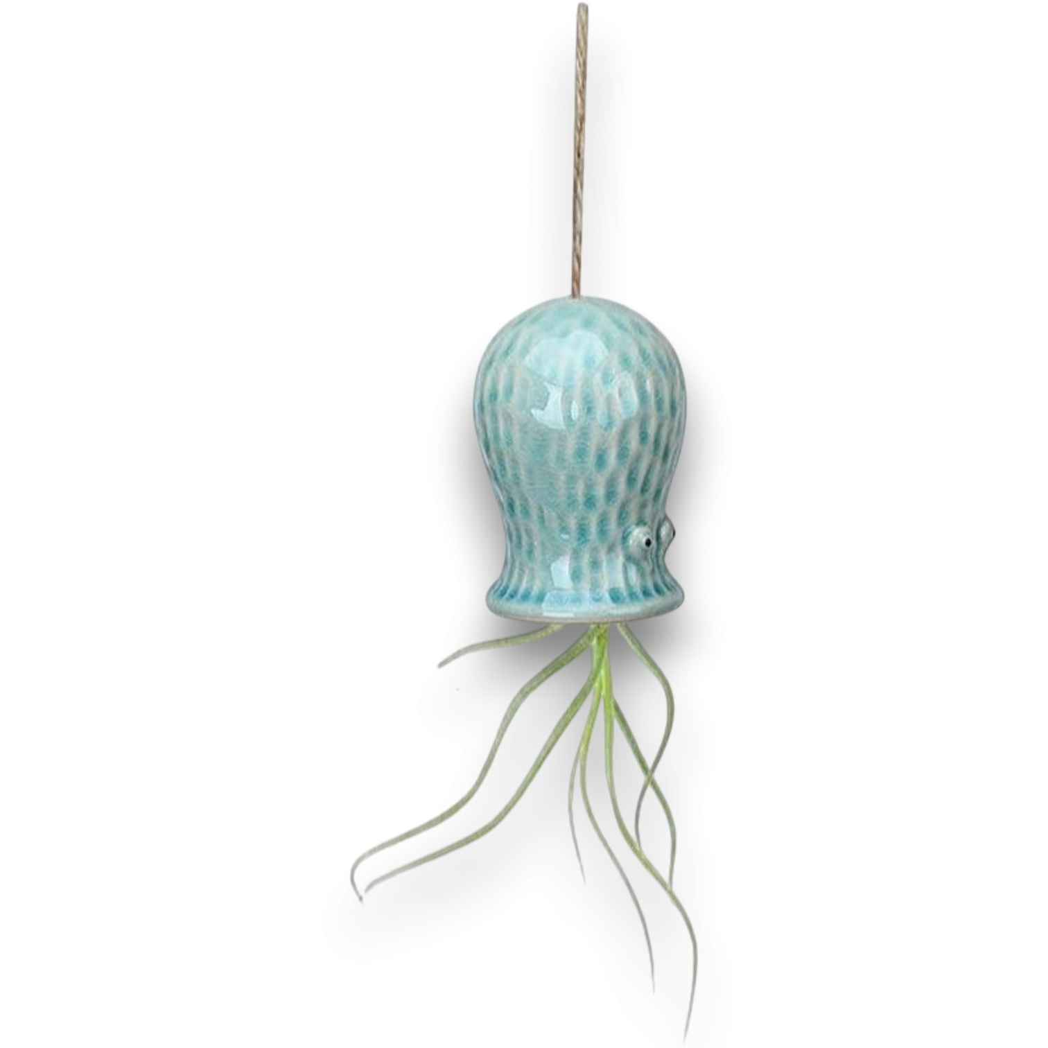 Mellow Monkey light blue hanging ceramic air plant buddy with a live Tillandsia plant and textured glaze finish.
