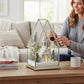 Mellow Monkey lighted church terrarium with miniature trees and snow inside a glass house on a wooden table