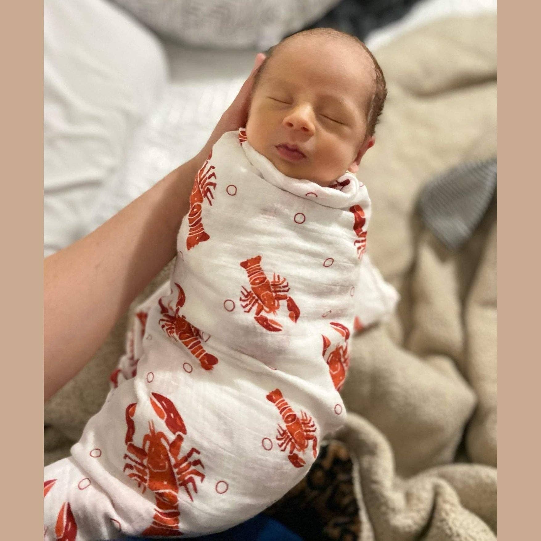Mellow Monkey muslin swaddle blanket with red lobster print wrapped around a sleeping newborn baby