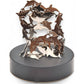 Mellow Monkey magnetic desktop sculpture featuring polished stainless steel dolphin figures on a black circular base.