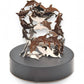 Mellow Monkey magnetic dolphin desktop sculpture featuring polished stainless steel sea creatures on a black base.