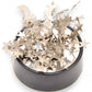 Mellow Monkey magnetic desktop sculpture featuring polished stainless steel moon and star pieces on a black base.