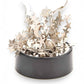 Mellow Monkey magnetic desktop sculpture featuring polished stainless steel moon and star shapes on a black base.