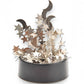 Mellow Monkey magnetic desktop sculpture featuring polished stainless steel moon and star shapes on a black base.
