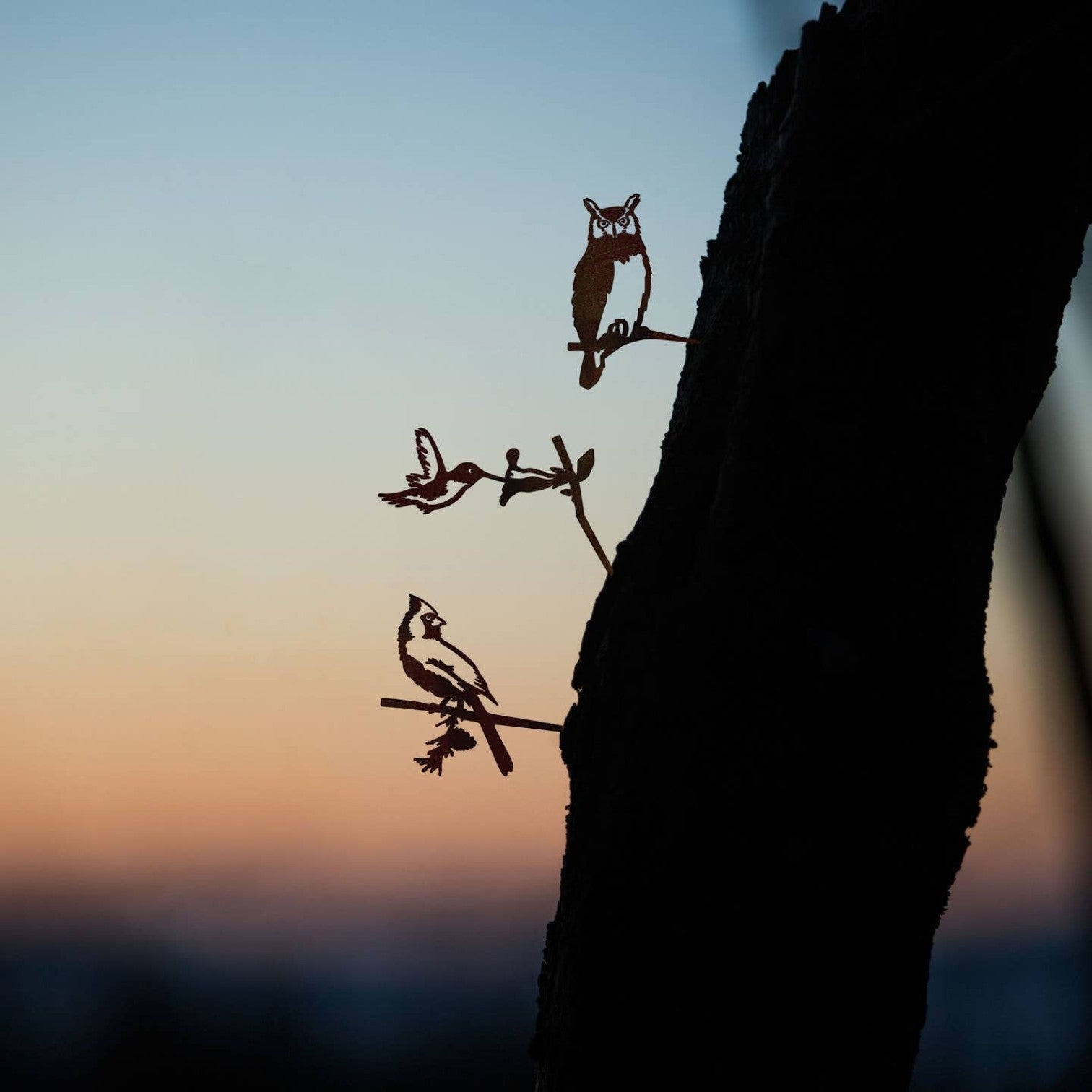 Mellow Monkey MetalBird mini cardinal, hummingbird, and owl silhouettes installed on a tree trunk at sunset
