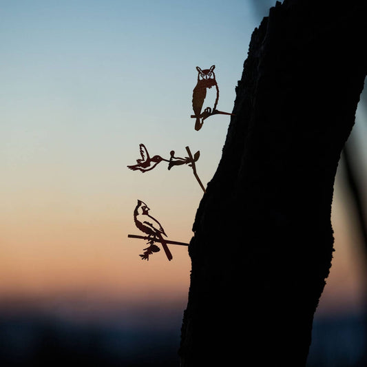 Mellow Monkey MetalBird mini cardinal, hummingbird, and owl silhouettes installed on a tree trunk at sunset