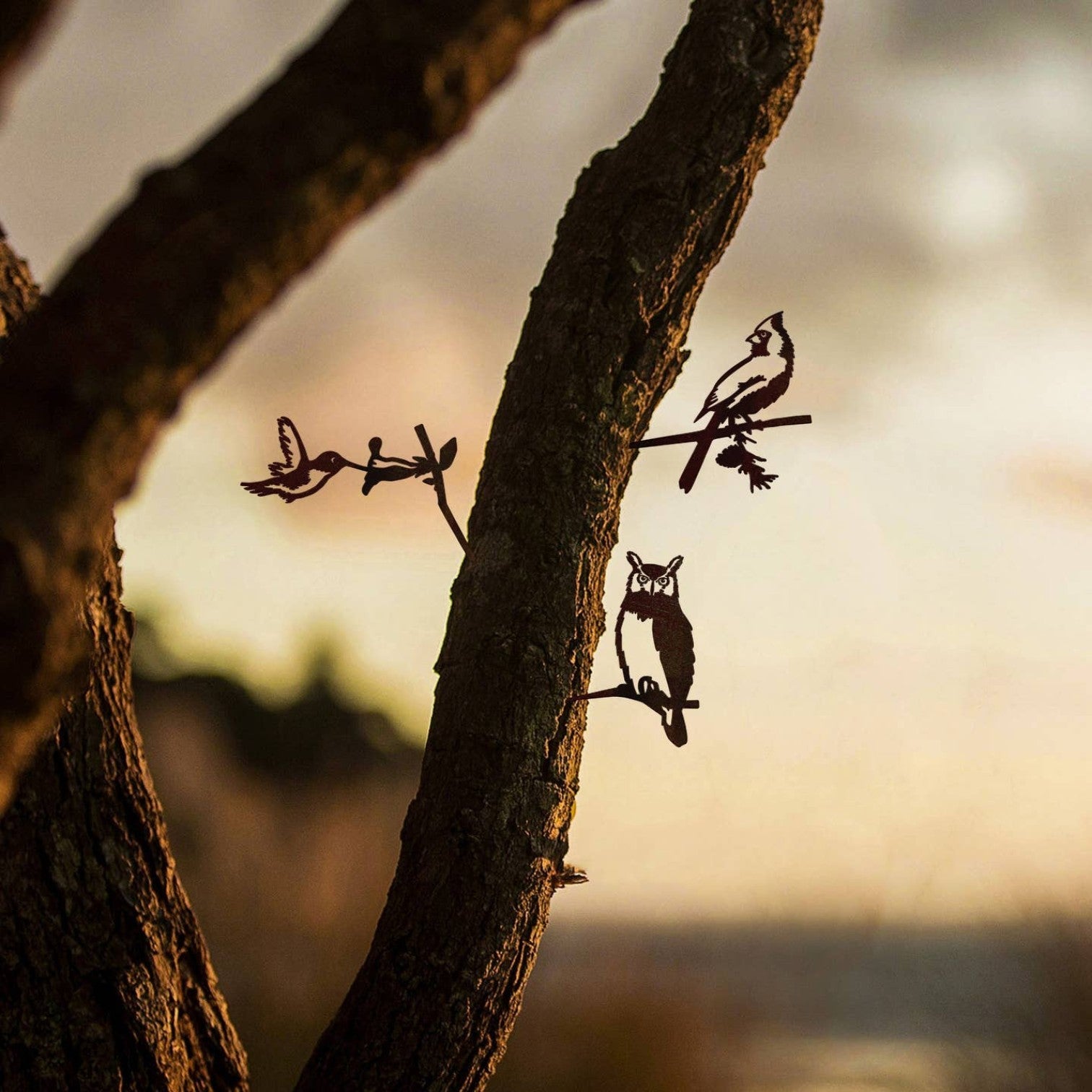Mellow Monkey MetalBird mini cardinal, hummingbird, and owl steel garden silhouettes mounted on a tree trunk.