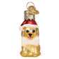 Mellow Monkey Mini Jolly Pup glass ornament wearing a Santa hat and holding a bone. Features glitter accents.