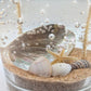 Mellow Monkey Mother of Pearl gel candle with seashells and starfish in clear wax, double-wick coastal design.
