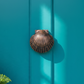Mellow Monkey oiled bronze scallop shell door knocker mounted on a vibrant teal front door with brass hardware.