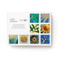 Mellow Monkey OuiSi Getty Museum edition game box featuring 210 colorful art and nature photo cards for creative play