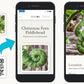 Mellow Monkey OuiSi nature photo card showing a fern fiddlehead with a QR code and smartphone app interface