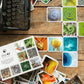 Mellow Monkey OuiSi Nature photo card game box and scattered nature-themed cards on a rustic wooden table