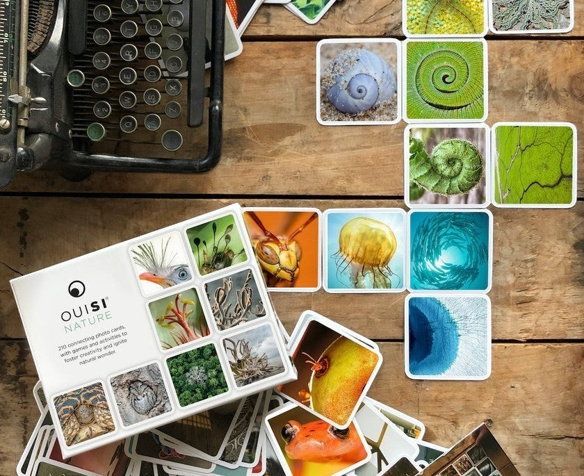 Mellow Monkey OuiSi Nature photo card game box and scattered nature-themed cards on a rustic wooden table