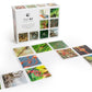 Mellow Monkey OuiSi Nature photo card game set with box and colorful nature-themed cards arranged on white surface
