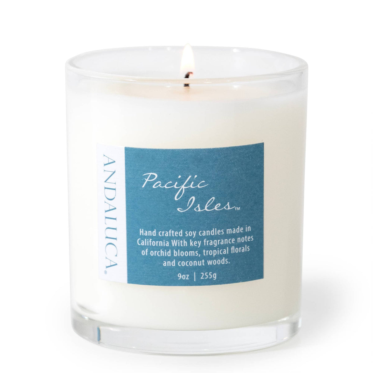 Mellow Monkey Pacific Isles 9-ounce soy blend candle in a clear glass jar with a blue tropical fragrance label.