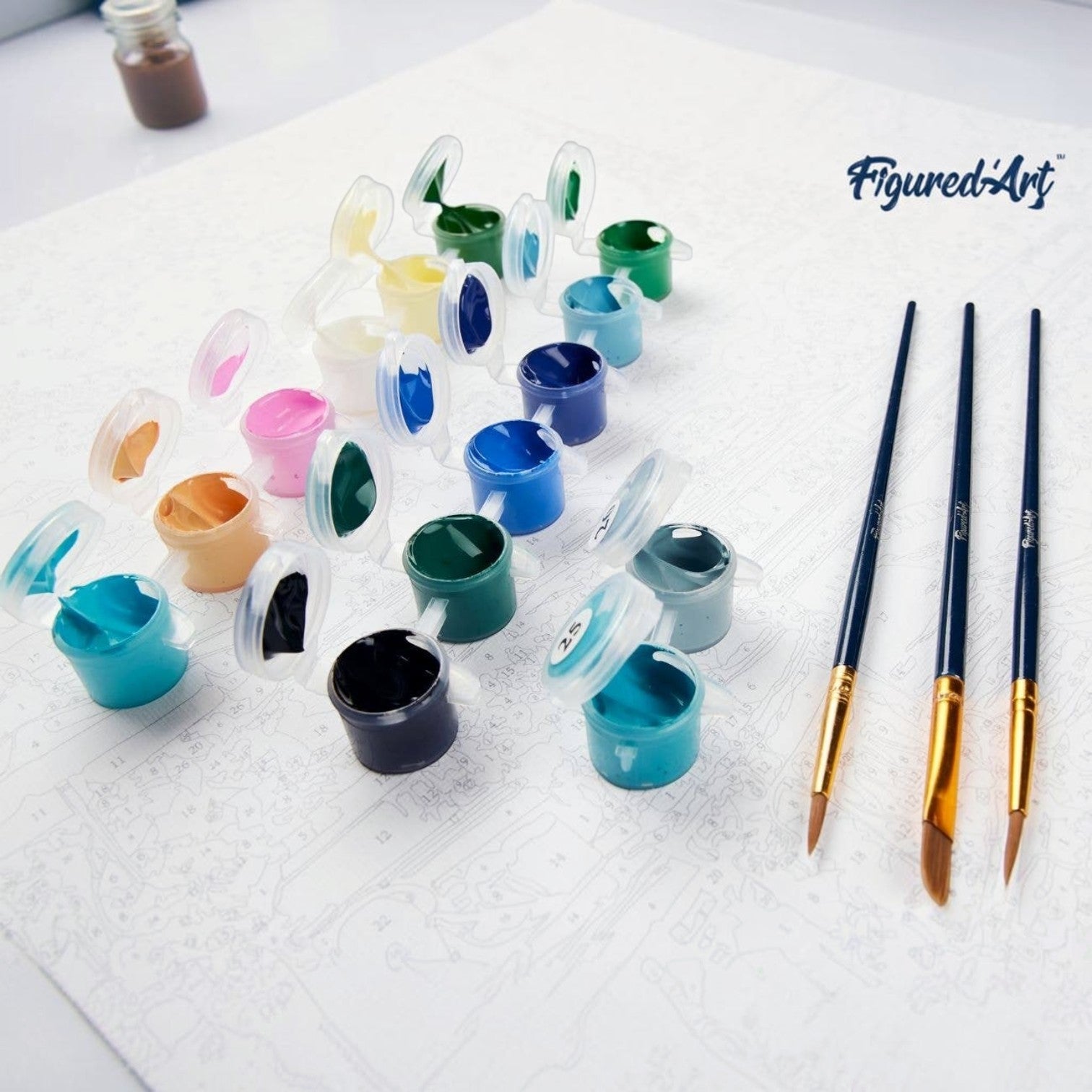 Mellow Monkey paint by numbers kit featuring numbered acrylic paints, nylon brushes, and a numbered canvas for the Aurora Borealis and Lake design.