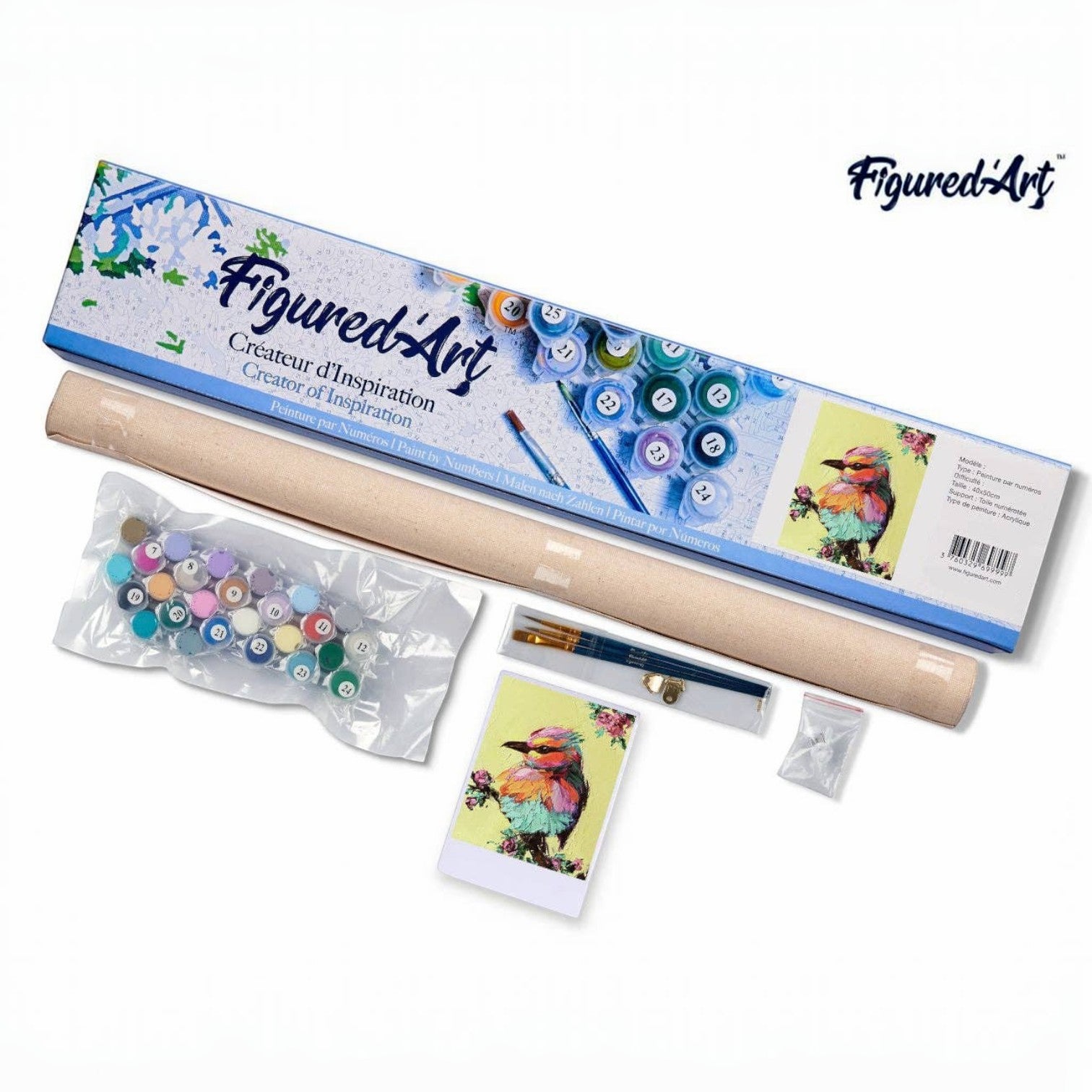 Mellow Monkey Little Bird paint by numbers kit for adults, 16"x20", includes numbered canvas, acrylic paints, and brushes.