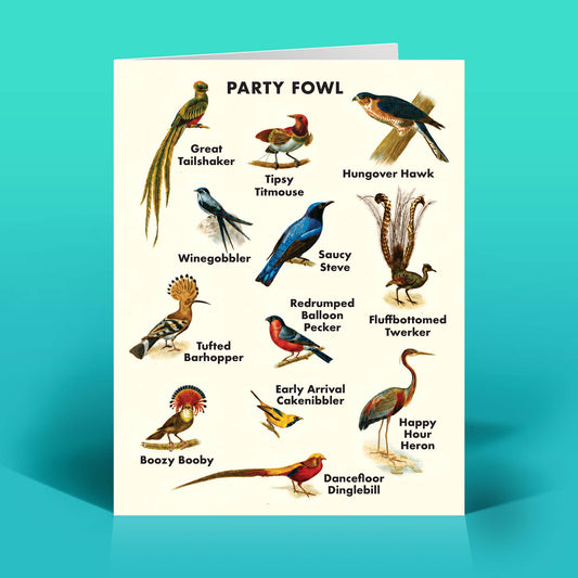 Mellow Monkey Party Fowl birthday greeting card featuring humorous illustrated birds on thick recycled paper.