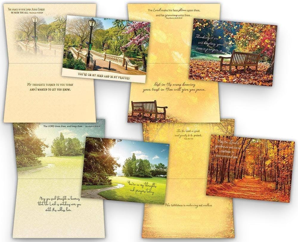 Mellow Monkey boxed set of four faith-based thinking of you greeting cards featuring KJV scripture and nature scenes.