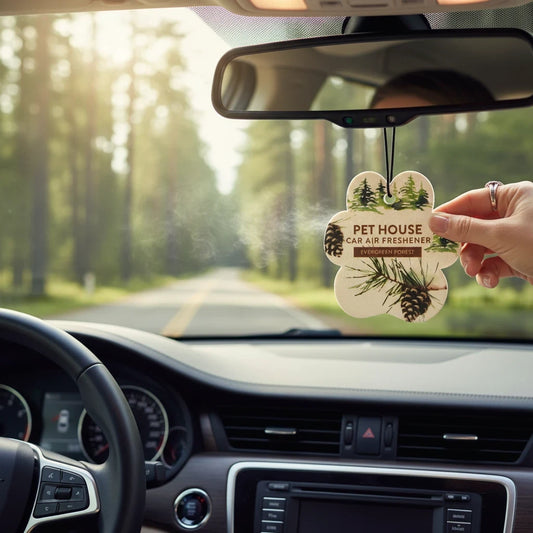 Mellow Monkey paw-shaped Evergreen Forest car air freshener hanging in a car with a scenic forest road view