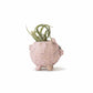 Mellow Monkey Henrietta the Pig Blobhouse Planter, a pink handcrafted poly-resin planter with a textured finish, holding a small air plant.