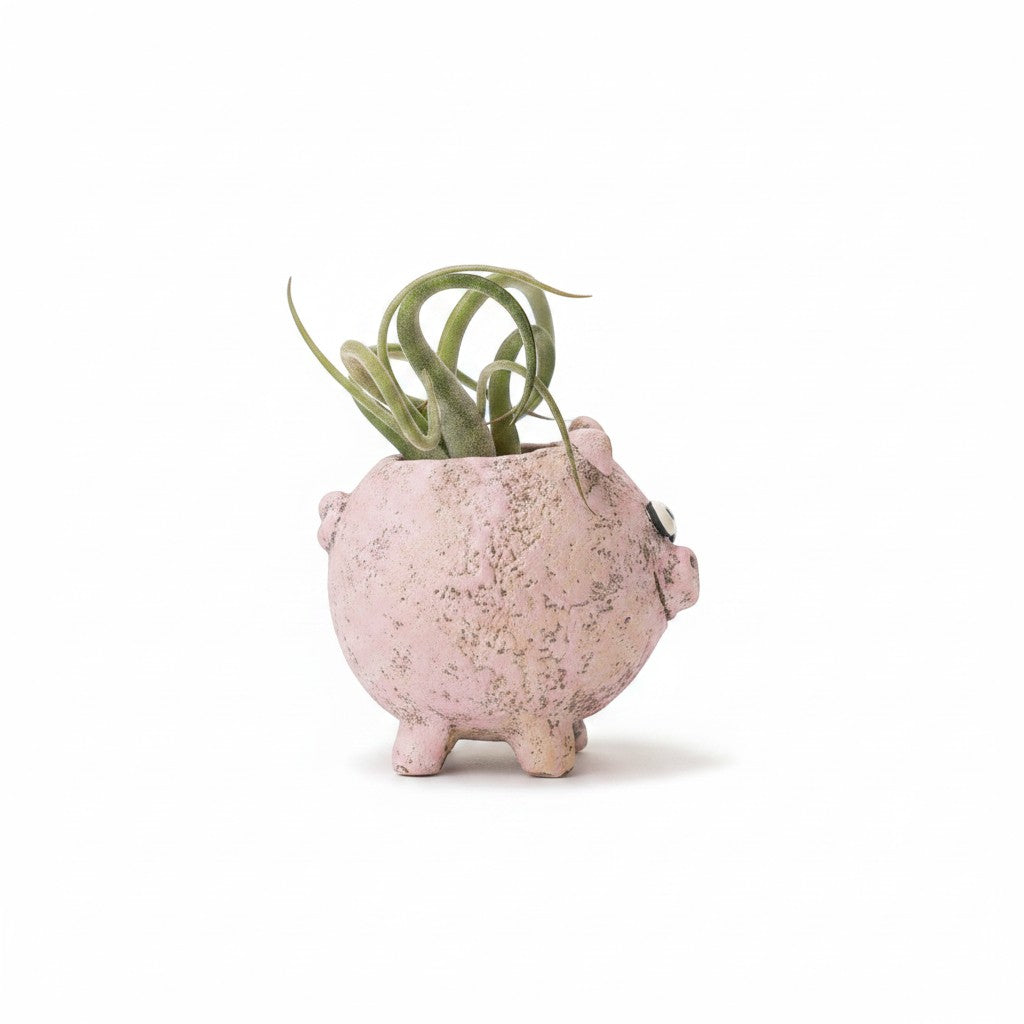 Mellow Monkey Henrietta the Pig Blobhouse Planter, a pink handcrafted poly-resin planter with a textured finish, holding a small air plant.