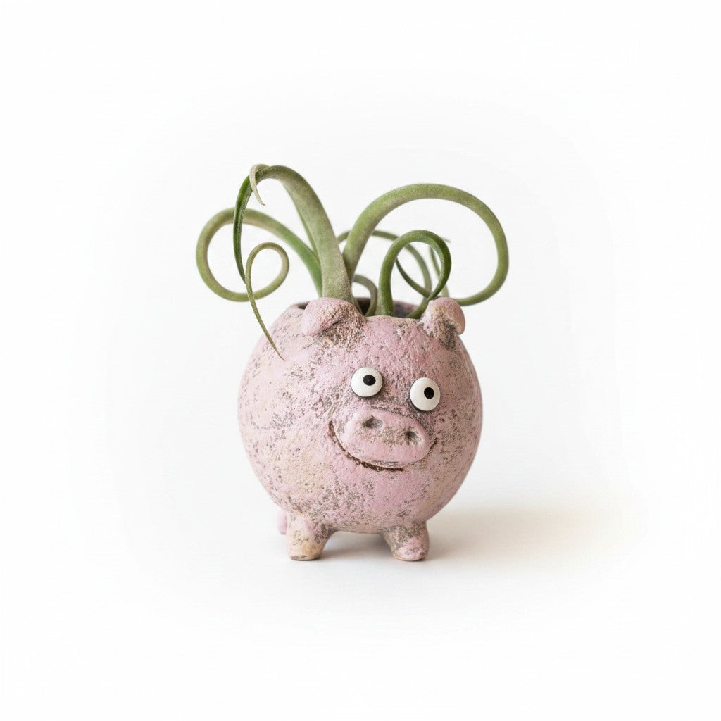 Mellow Monkey Henrietta the Pig Blobhouse Planter, a pink handcrafted poly-resin planter with googly eyes and a smiling face, holding a small plant.