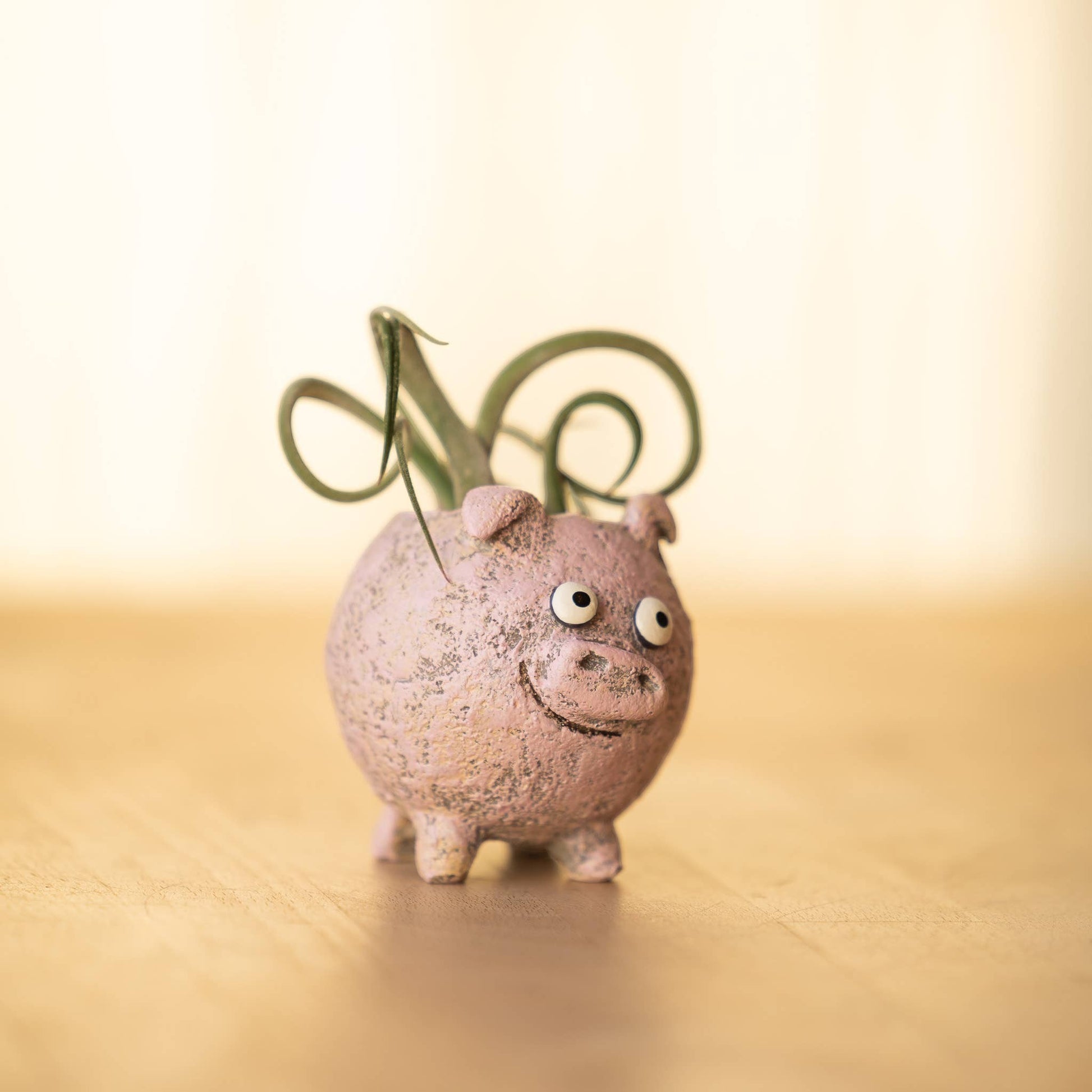 Mellow Monkey Henrietta the Pig Blobhouse Planter, a pink handcrafted poly-resin planter with googly eyes and a smiling face, holding a small plant.