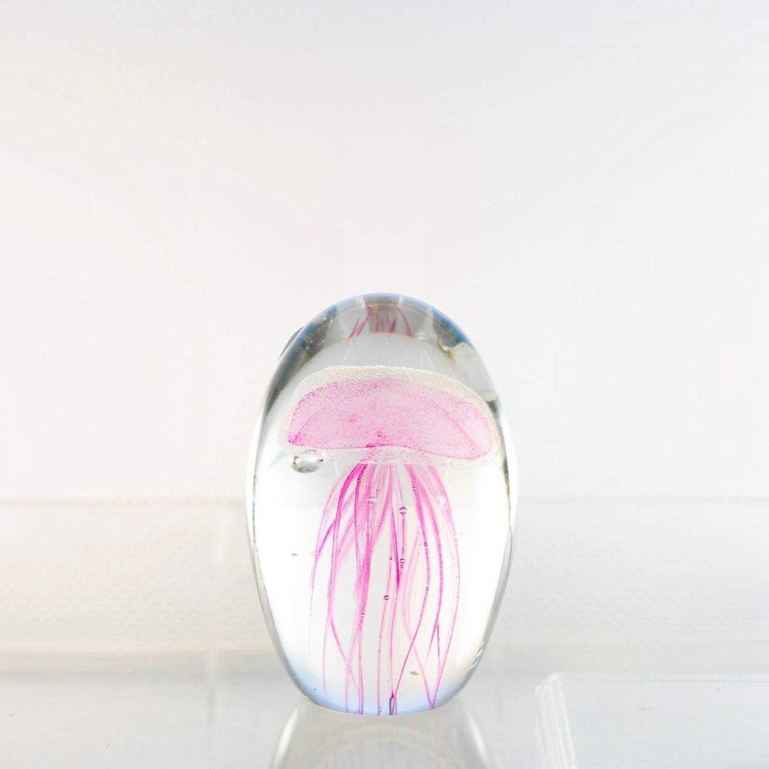 Mellow Monkey pink glass jellyfish paperweight with delicate tentacles encased in a clear oval dome.