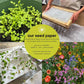 Mellow Monkey plantable seed paper showing handmade production, seedling growth, and blooming wildflowers