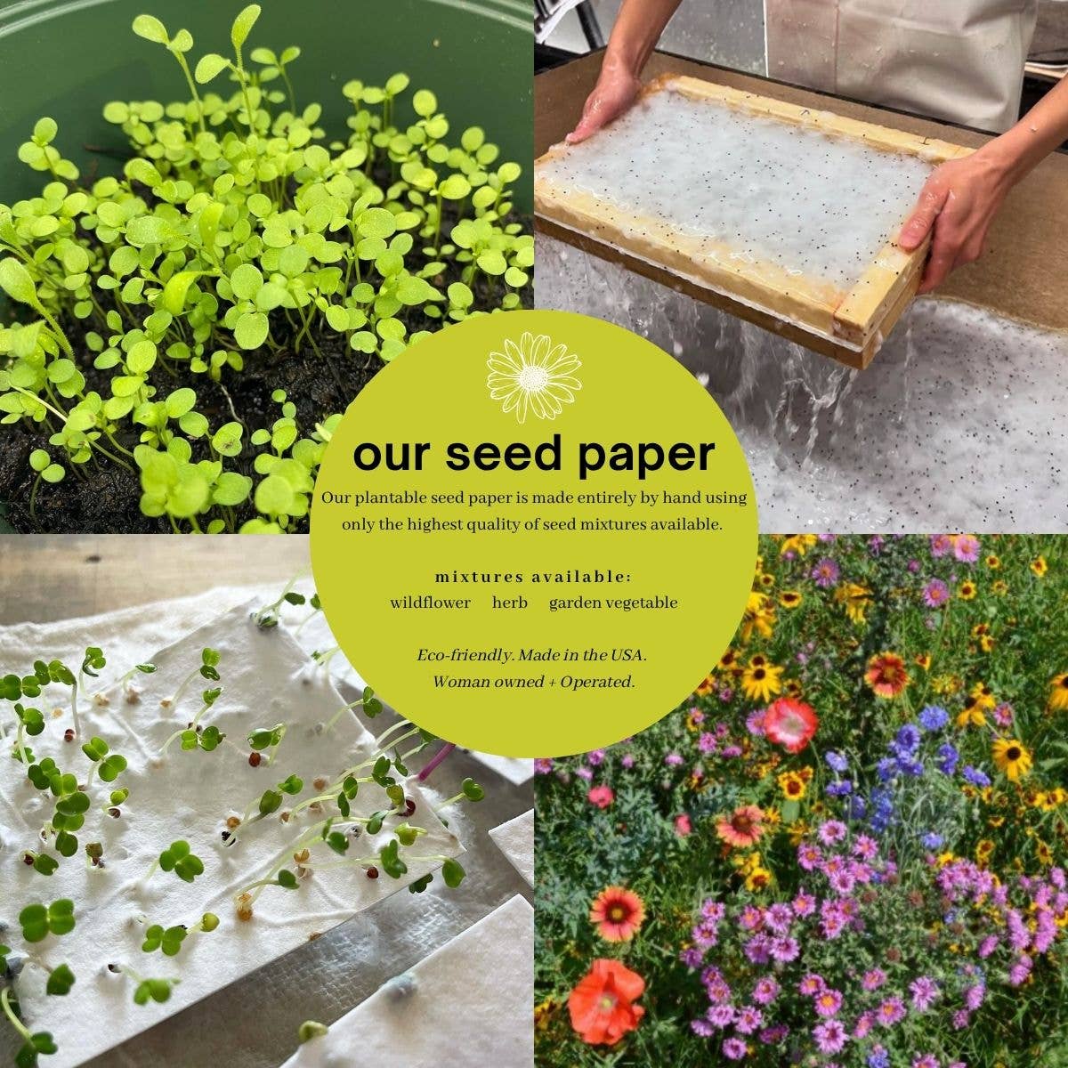 Mellow Monkey plantable seed paper showing handmade production, seedling growth, and blooming wildflowers