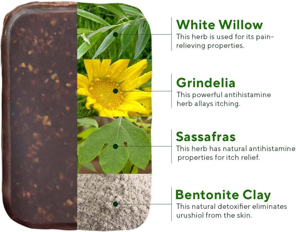 Mellow Monkey Poison Ivy and Oak soap bar with natural ingredients like white willow, grindelia, and bentonite clay.