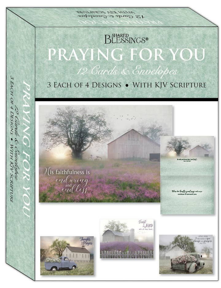 Mellow Monkey boxed set of 12 Praying for You greeting cards featuring quiet landscape scenes and KJV scripture.