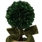 Mellow Monkey preserved boxwood topiary sphere in a terra-cotta pot with a decorative green velvet bow.
